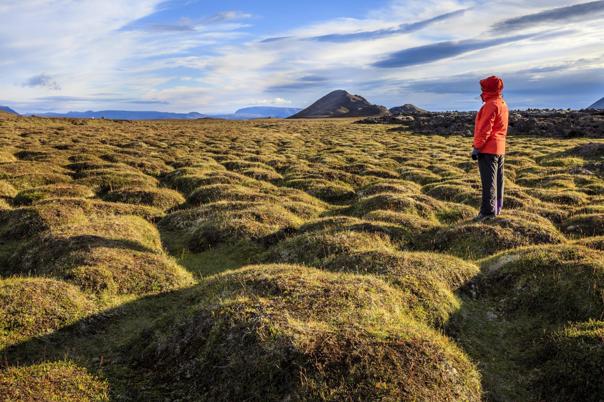 lava fields iceland