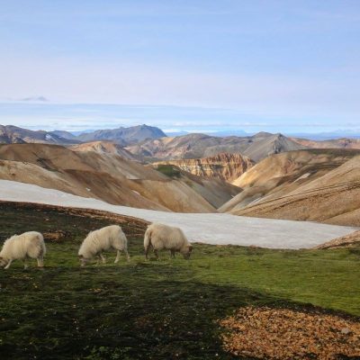 2 Days Landmannalaugar Tour