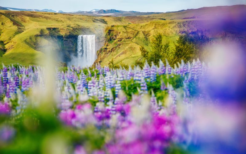 Skogafoss