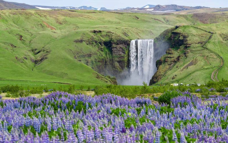 Skogarfoss - South Coast Tour